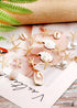 Boho Earrings, Dangle Earrings, Starfish Shell Cowrie White Gold